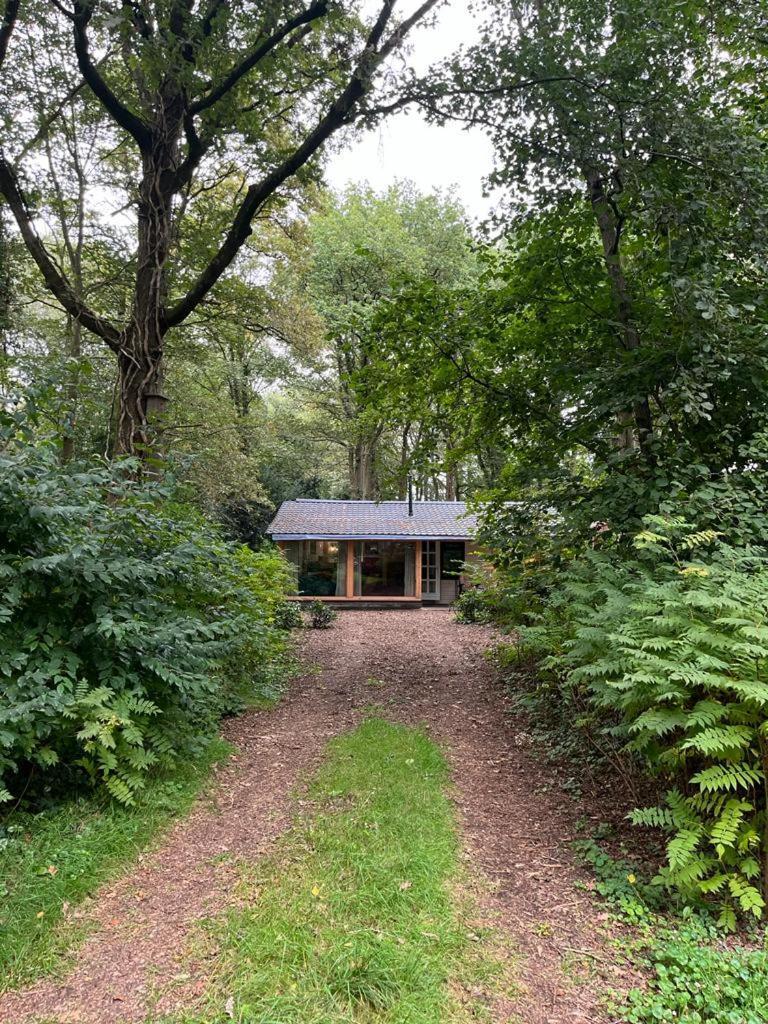 Huisje In Het Bos Zuidlaren Exterior photo